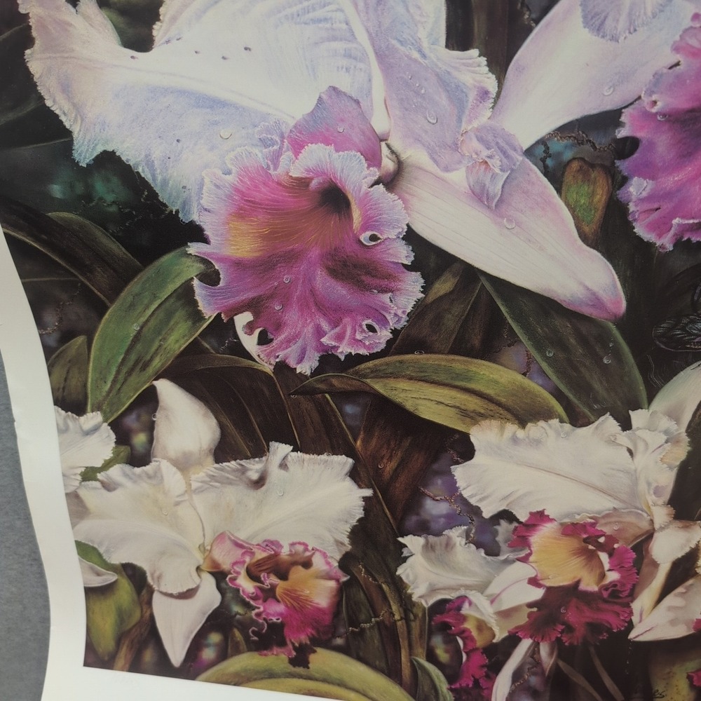 Sonia Torres Butterfly White Orchids‎ Dendrobium Artist Print Signed Limited Ed - Picture 4 of 8